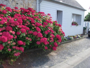 Les Hortensias